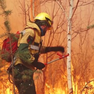 ЛЕСНОЕ ХОЗЯЙСТВО - 05.07.2022 семинар "Требования пожарной безопасности на предприятиях лесозаготовительной и деревоперерабатывающей отрасли"